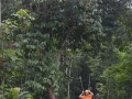 Tn DSC 4065